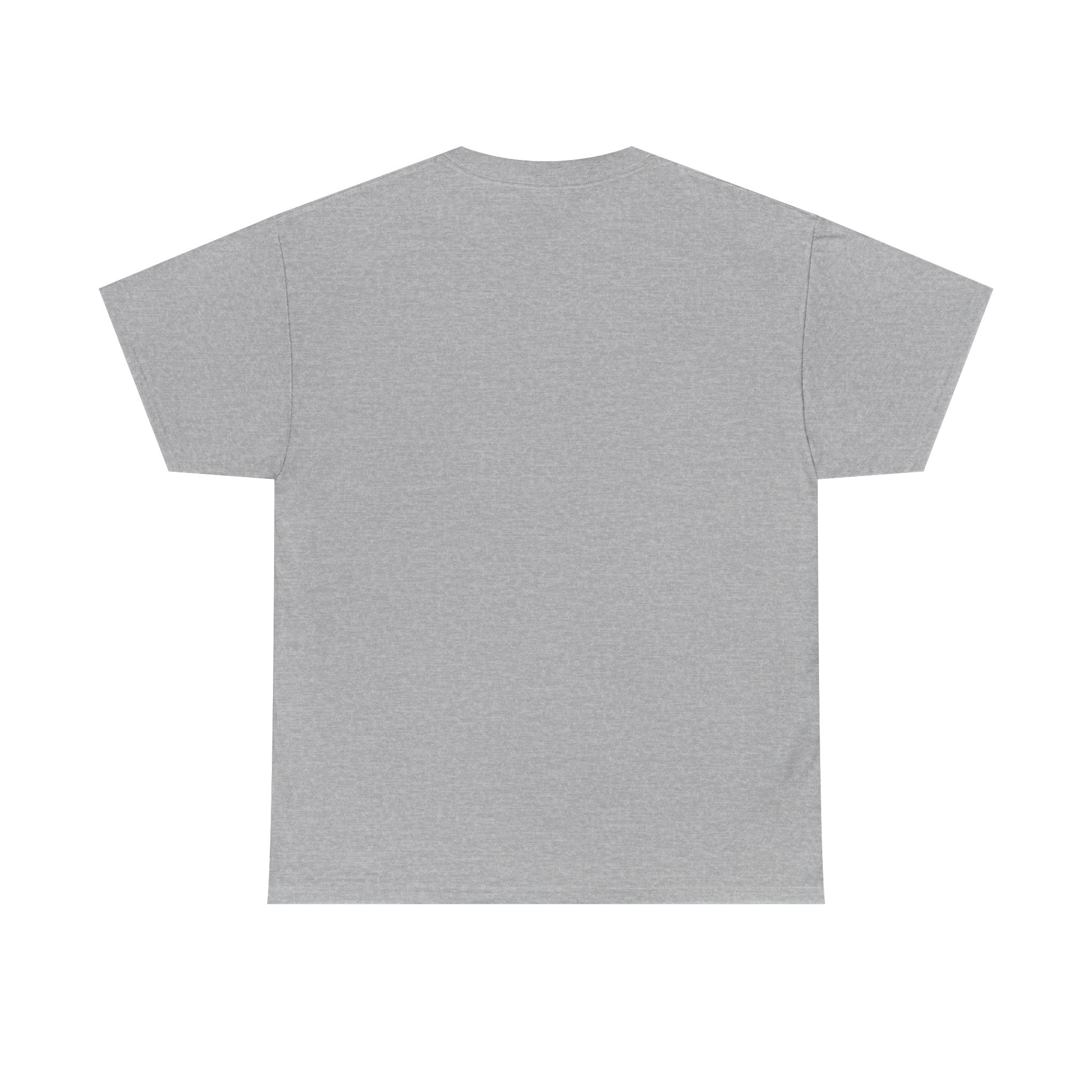 Knight Illustration Graphic Tee — Stand Firm- Ephesians 6